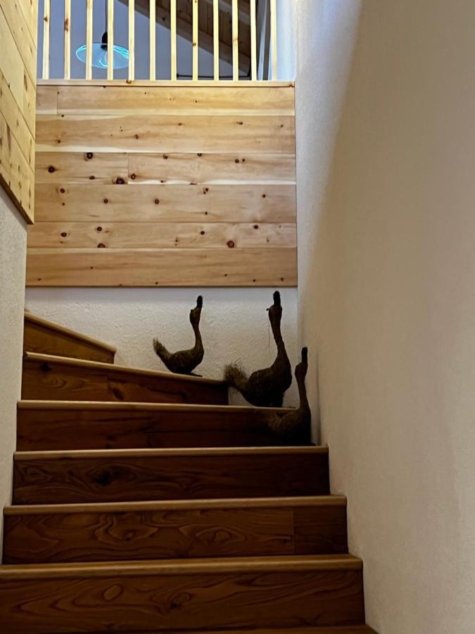 Luech Dl Finatzer Apartment San Martino in Badia Luaran gambar